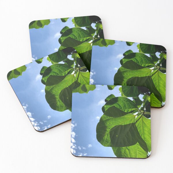 Item preview, Leaves in sunlight, no filter photograph designed and sold by GiSilver.