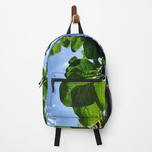 Item preview, Leaves in sunlight, no filter photograph designed and sold by GiSilver.