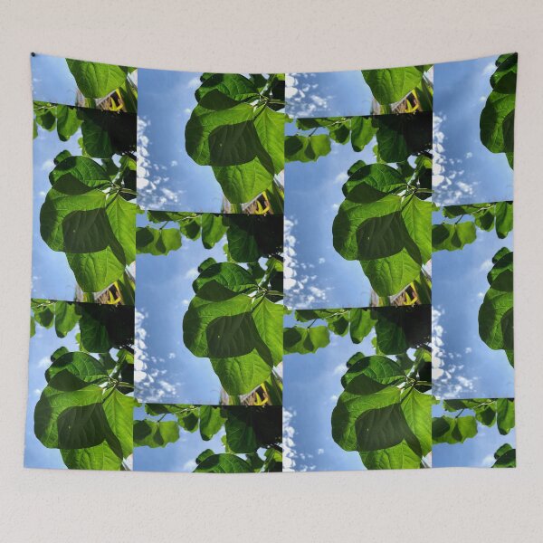 Item preview, Leaves in sunlight, no filter photograph designed and sold by GiSilver.