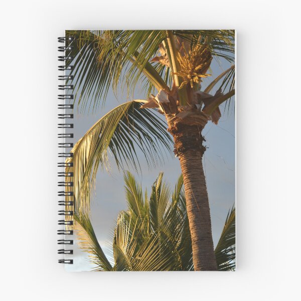 Item preview, Sunlit Coconut Palm Tree Against Twilight Sky designed and sold by MiraNadaPrints.