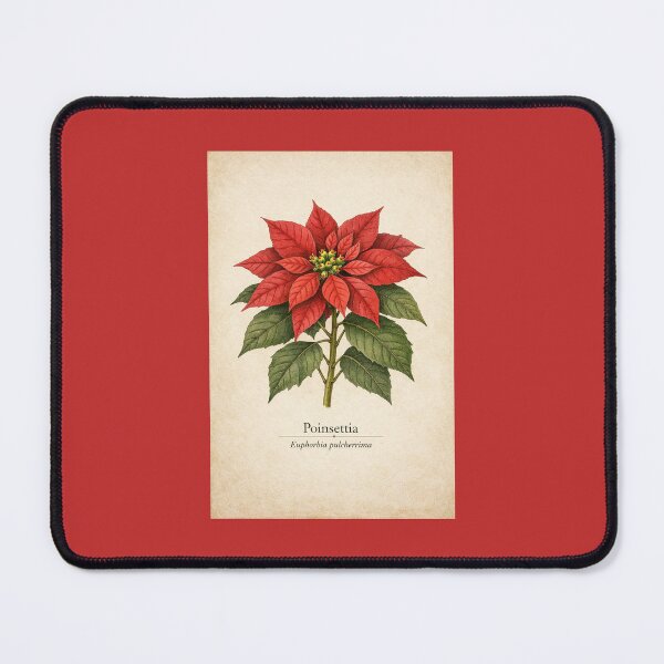 Item preview, Botanical Poinsettia – Euphorbia pulcherrima | Vintage Christmas Flower Art designed and sold by Novel Works Studio.