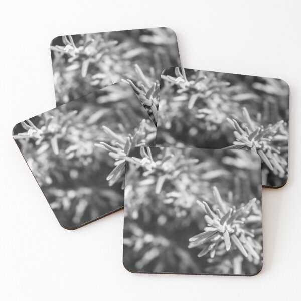 Item preview, Black and White Close-Up of a Rosemary Plant with Intricate Textures designed and sold by Nmallia.