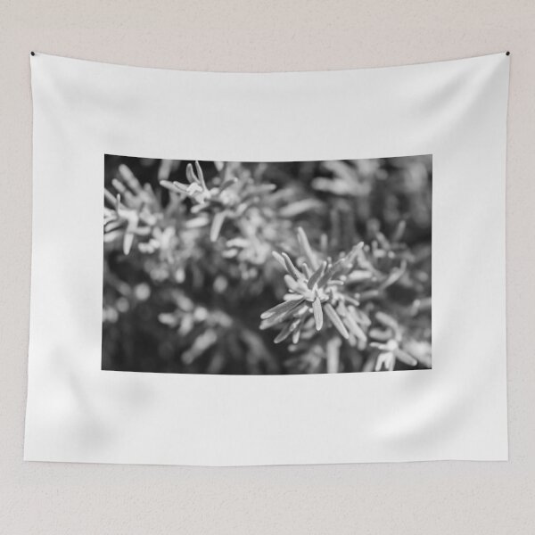 Item preview, Black and White Close-Up of a Rosemary Plant with Intricate Textures designed and sold by Nmallia.