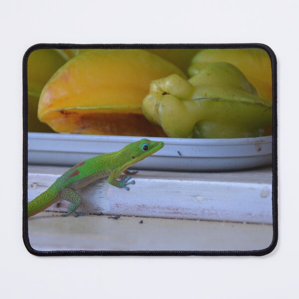 Item preview, Gold Dust Day Gecko Near Ripe Starfruit designed and sold by MiraNadaPrints.