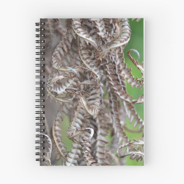 Item preview, Curled Dried Tree Fern Fronds Macro View designed and sold by MiraNadaPrints.