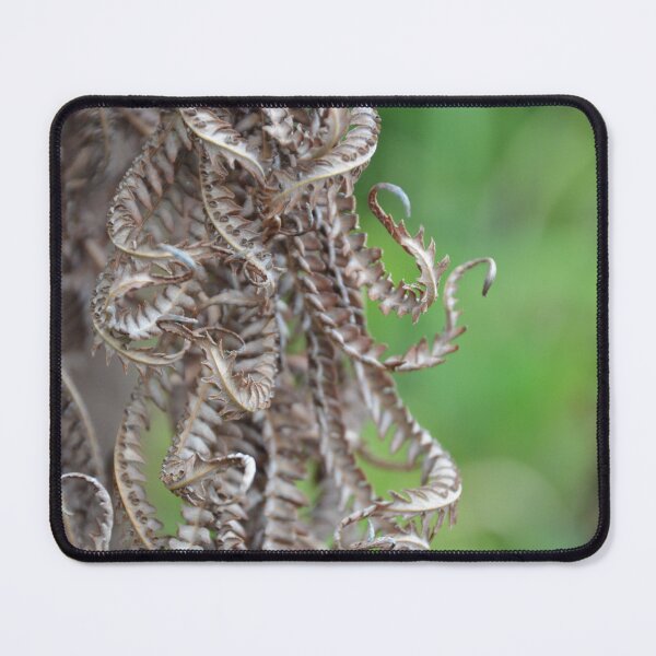 Item preview, Curled Dried Tree Fern Fronds Macro View designed and sold by MiraNadaPrints.