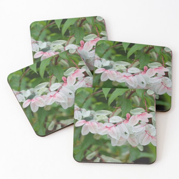 Item preview, Variegated Snow Bush Leaves in Soft Light designed and sold by MiraNadaPrints.