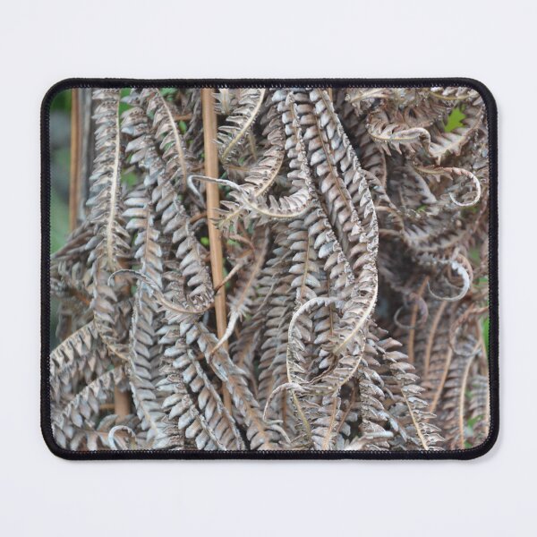Item preview, Dense Cluster of Woven Dried Fern Fronds designed and sold by MiraNadaPrints.
