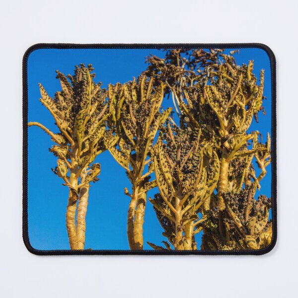 Item preview, Tropical Succulent Plants Against a Blue Sky on a Sunny Day designed and sold by Nmallia.