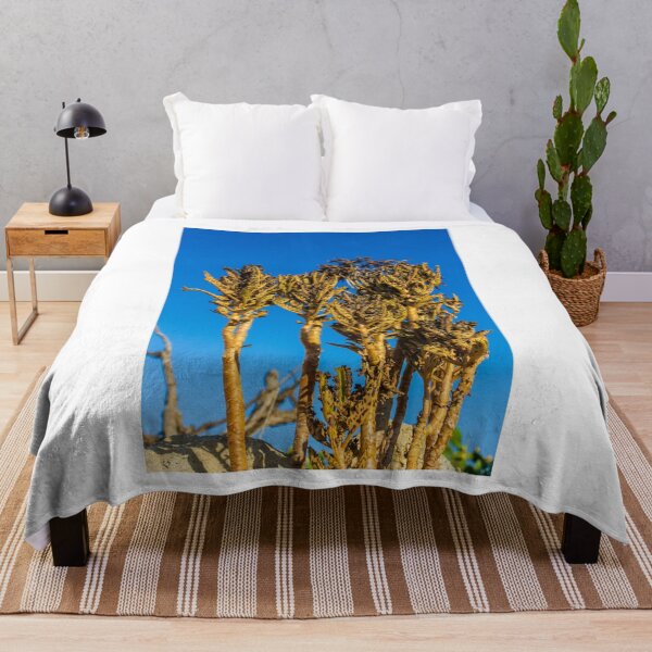 Item preview, Tropical Succulent Plants Against a Blue Sky on a Sunny Day designed and sold by Nmallia.