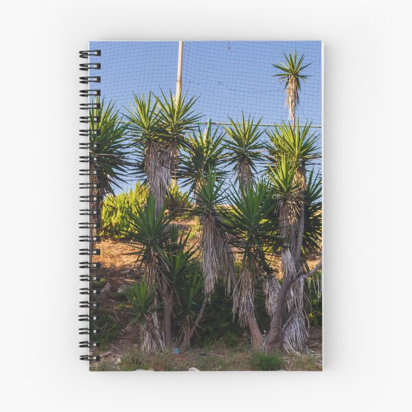 Item preview, Tropical Yucca Plants Growing Along a Hillside Under a Clear Blue Sky designed and sold by Nmallia.