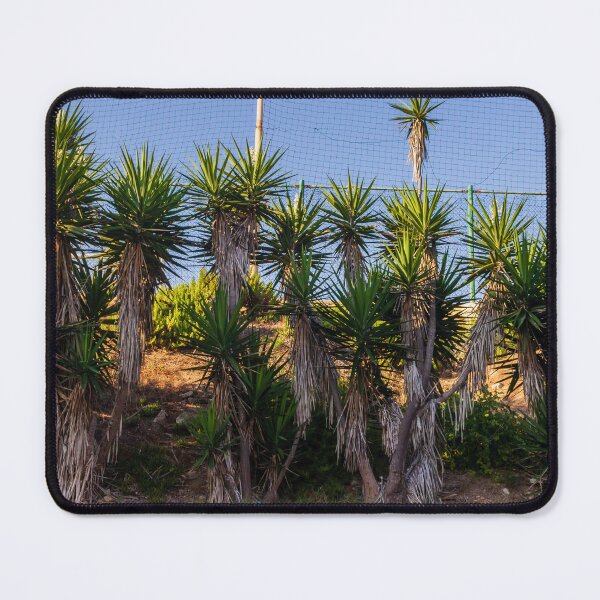Item preview, Tropical Yucca Plants Growing Along a Hillside Under a Clear Blue Sky designed and sold by Nmallia.