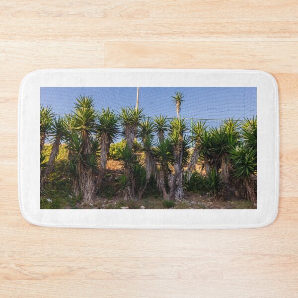 Item preview, Tropical Yucca Plants Growing Along a Hillside Under a Clear Blue Sky designed and sold by Nmallia.