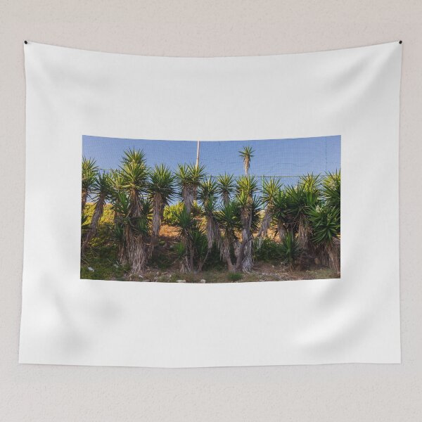 Item preview, Tropical Yucca Plants Growing Along a Hillside Under a Clear Blue Sky designed and sold by Nmallia.
