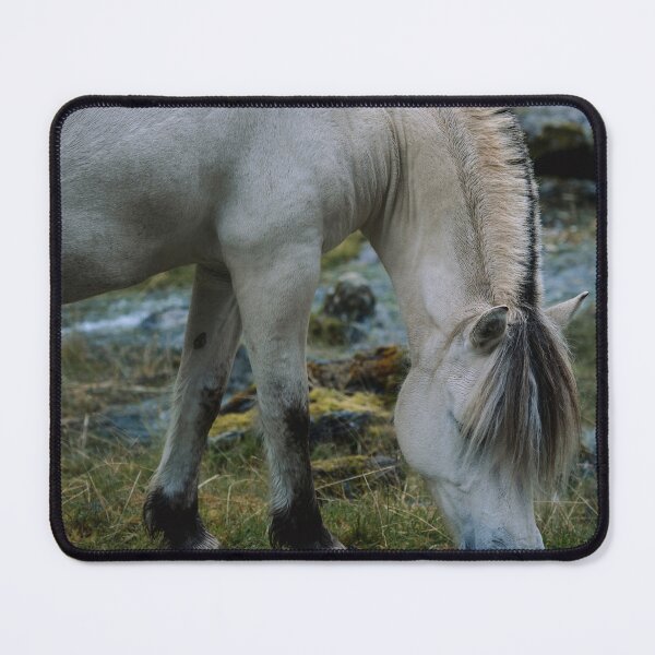 Item preview, Fjord Horse Grazing by a Stream designed and sold by vaalefoto.