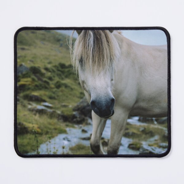 Item preview, Fjord Horse Crossing a Mountain Stream designed and sold by vaalefoto.