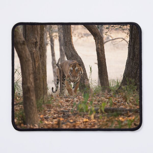Item preview, Tiger, Tiger, Burning Bright designed and sold by JGA-Photography.