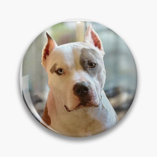 Item preview, American pitbull dog blue Merle  designed and sold by Misbehaved_Parent.
