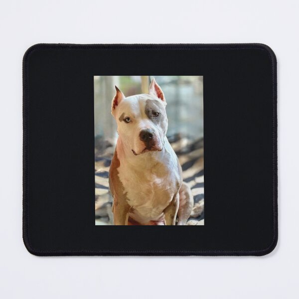Item preview, American pitbull dog blue Merle  designed and sold by Misbehaved_Parent.