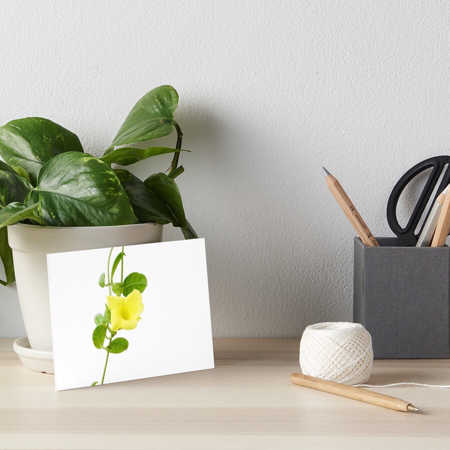 Item preview, Art Board Print designed and sold by Rav33822.