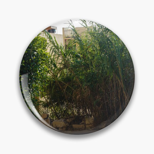 Item preview, Serene Outdoor Scene with Green Foliage and Shadows on Concrete Pathway designed and sold by Nmallia.