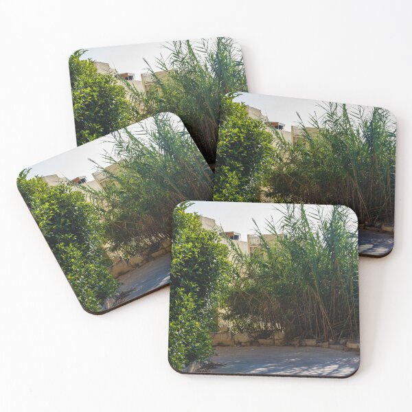 Item preview, Serene Outdoor Scene with Green Foliage and Shadows on Concrete Pathway designed and sold by Nmallia.