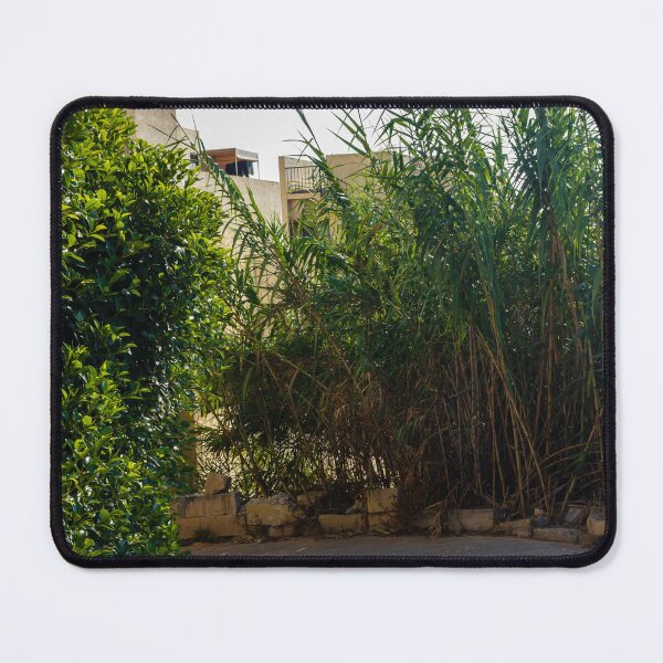 Item preview, Serene Outdoor Scene with Green Foliage and Shadows on Concrete Pathway designed and sold by Nmallia.