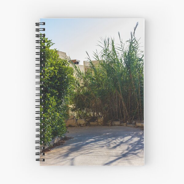 Item preview, Serene Outdoor Scene with Green Foliage and Shadows on Concrete Pathway designed and sold by Nmallia.
