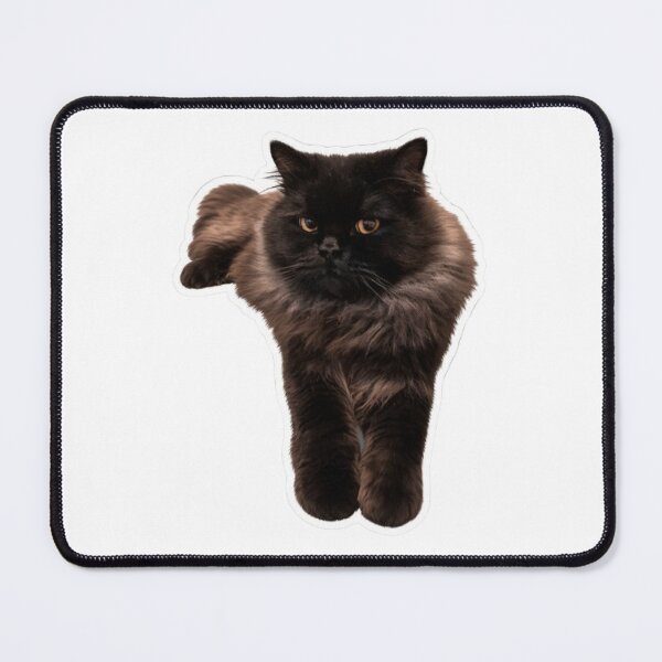 Item preview, Fluffy Longhair Black Cat - My Cat. HAKU designed and sold by PetalsPaws.