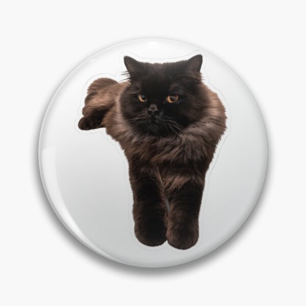 Item preview, Fluffy Longhair Black Cat - My Cat. HAKU designed and sold by PetalsPaws.