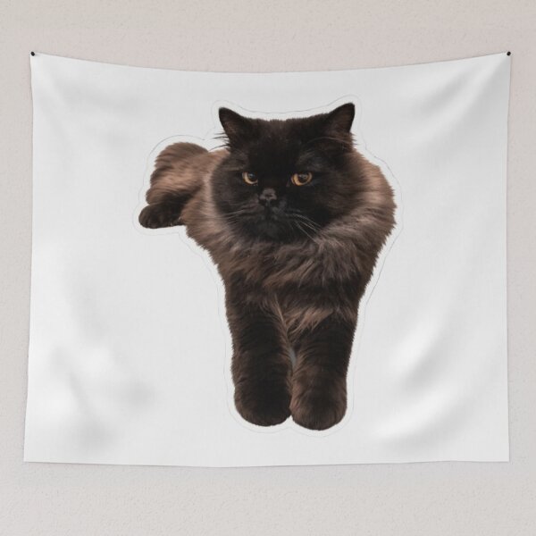 Item preview, Fluffy Longhair Black Cat - My Cat. HAKU designed and sold by PetalsPaws.
