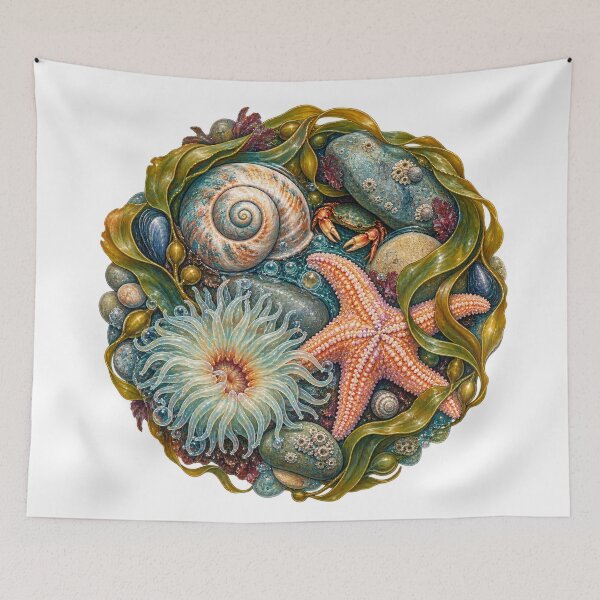 Item preview, Tidal pool composition with starfish and shell designed and sold by chrisbe-.