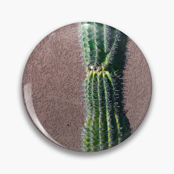 Item preview, Tall Green Cactus Against a Textured Exterior Wall in Bright Sunlight designed and sold by Nmallia.