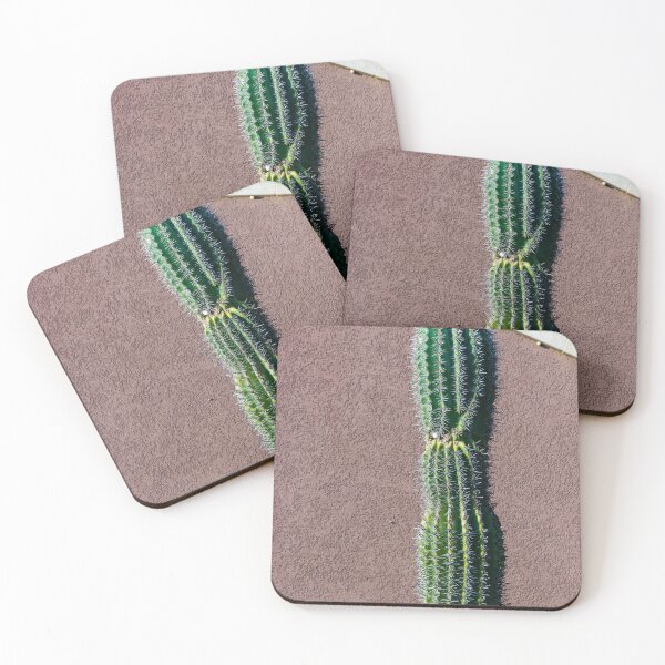 Item preview, Tall Green Cactus Against a Textured Exterior Wall in Bright Sunlight designed and sold by Nmallia.