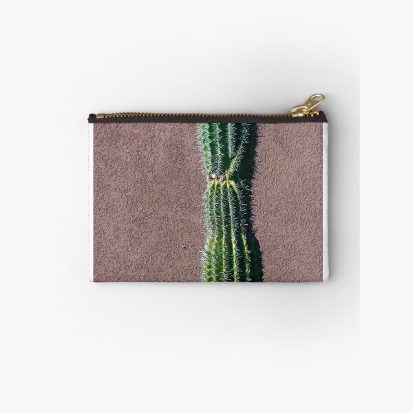 Item preview, Tall Green Cactus Against a Textured Exterior Wall in Bright Sunlight designed and sold by Nmallia.
