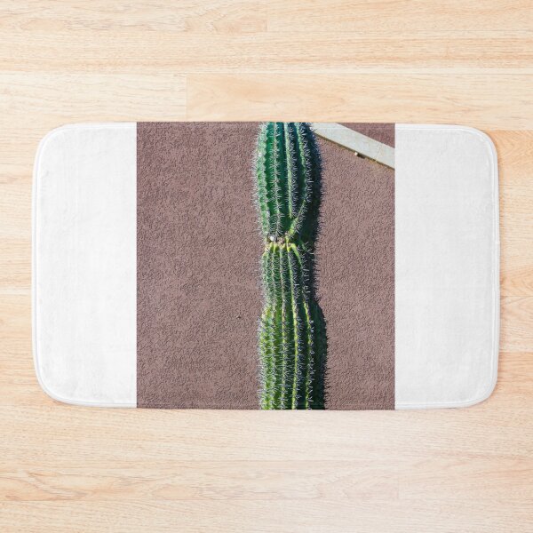 Item preview, Tall Green Cactus Against a Textured Exterior Wall in Bright Sunlight designed and sold by Nmallia.