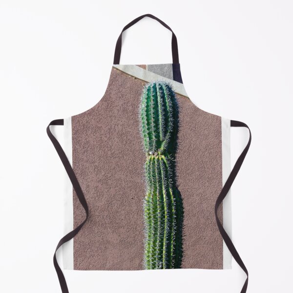 Item preview, Tall Green Cactus Against a Textured Exterior Wall in Bright Sunlight designed and sold by Nmallia.