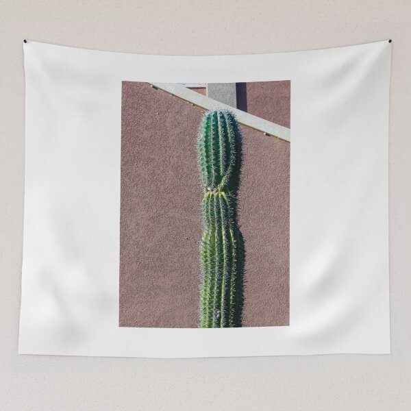Item preview, Tall Green Cactus Against a Textured Exterior Wall in Bright Sunlight designed and sold by Nmallia.