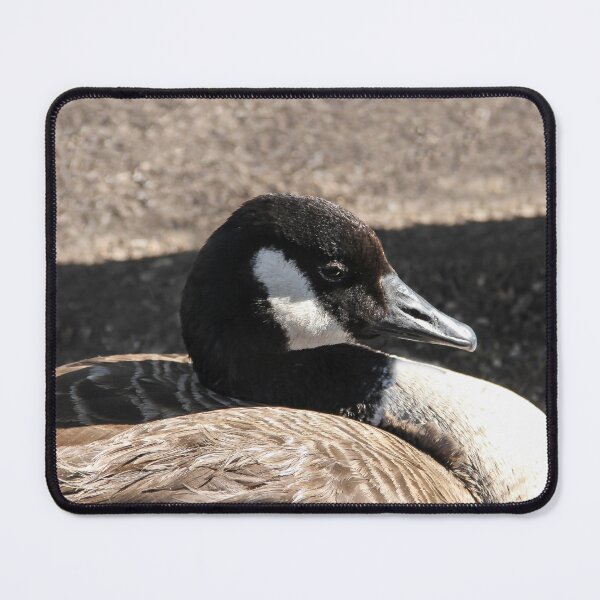 Item preview, Go Away and Let Me Sleep! designed and sold by heatherfriedman.