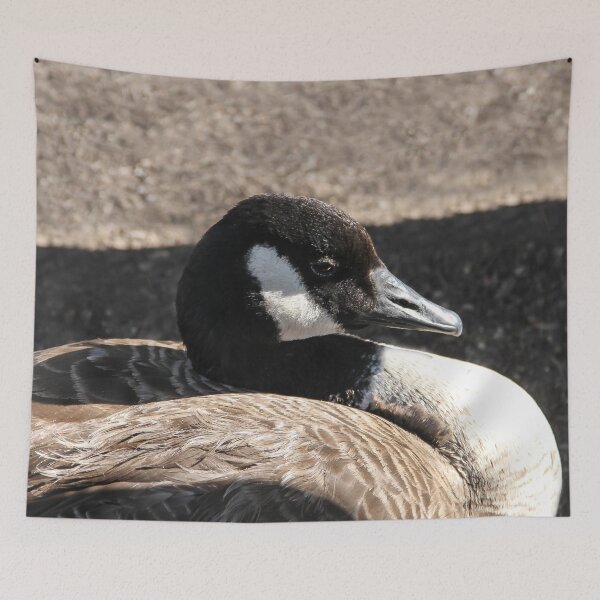 Item preview, Go Away and Let Me Sleep! designed and sold by heatherfriedman.