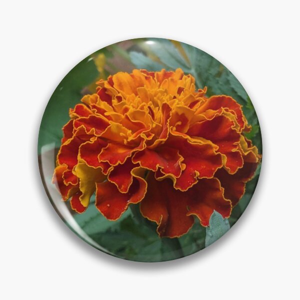 Item preview, French Marigold designed and sold by MacroFlower.