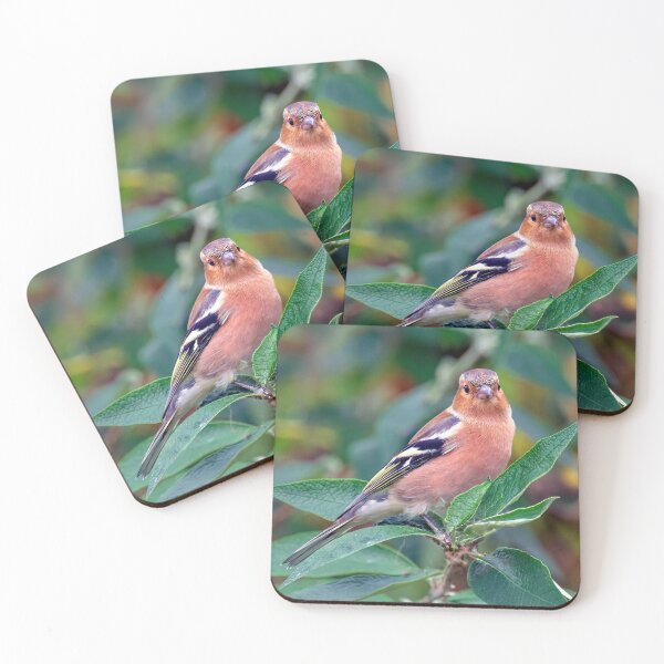 Item preview, Chaffinch designed and sold by Tom McPherson Photography.
