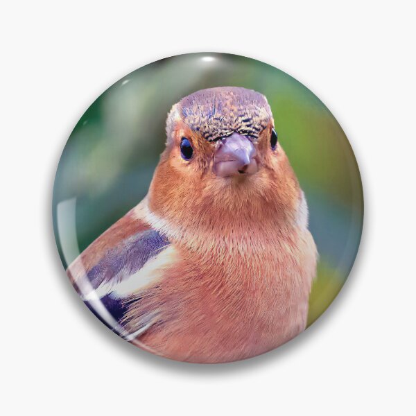 Item preview, Chaffinch designed and sold by Tom McPherson Photography.
