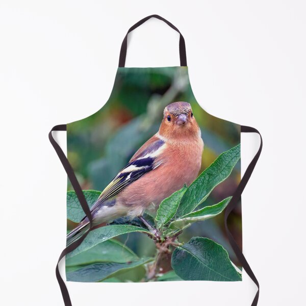 Item preview, Chaffinch designed and sold by Tom McPherson Photography.