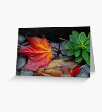 Fallen Greeting Card