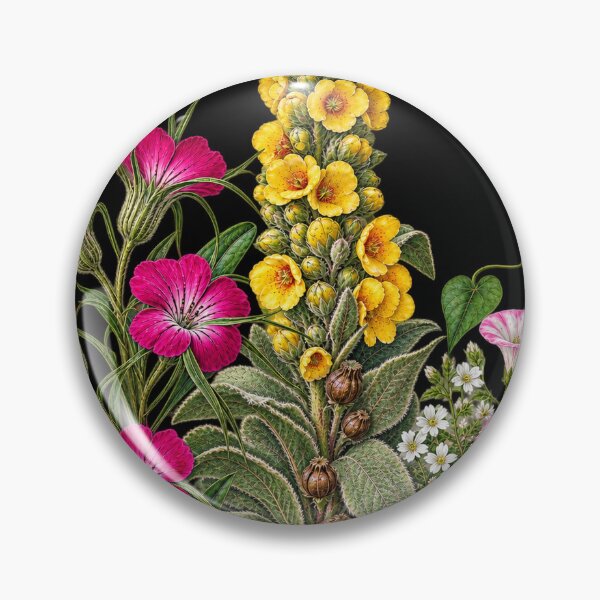 Item preview, Corncockle, Common Mullein and Field Bindweed Vintage Botanical Plate designed and sold by Anyshca.