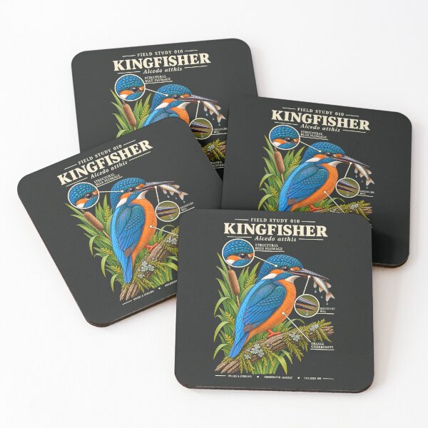 Item preview, Kingfisher Scientific Illustration Bird Field Study designed and sold by CalmCapy Co.