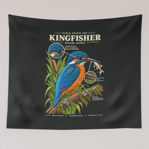 Item preview, Kingfisher Scientific Illustration Bird Field Study designed and sold by CalmCapy Co.