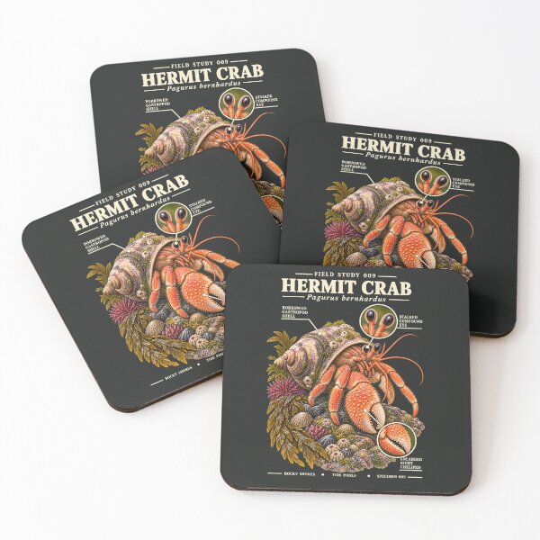 Item preview, Hermit Crab Scientific Illustration Tide Pool Field Study designed and sold by CalmCapy Co.