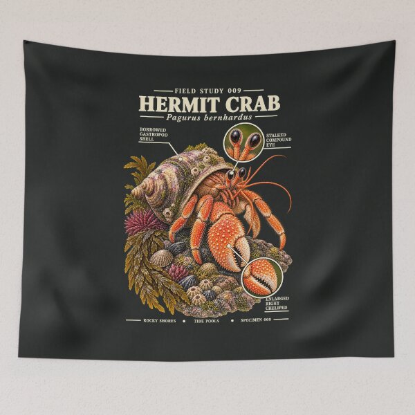 Item preview, Hermit Crab Scientific Illustration Tide Pool Field Study designed and sold by CalmCapy Co.